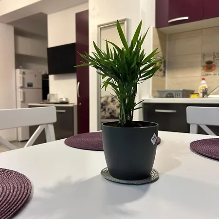 Apartament Alehandra - Porto Torres Năvodari